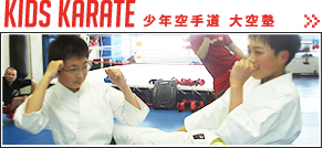 karate_btn